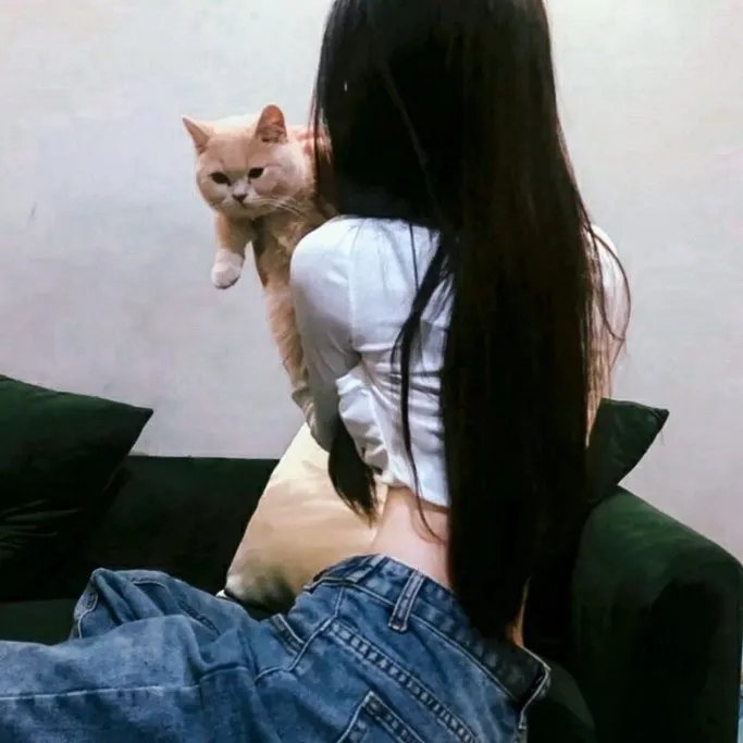 七小罗汉