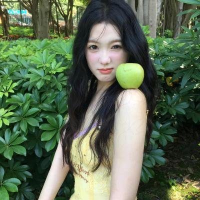 梅花档案