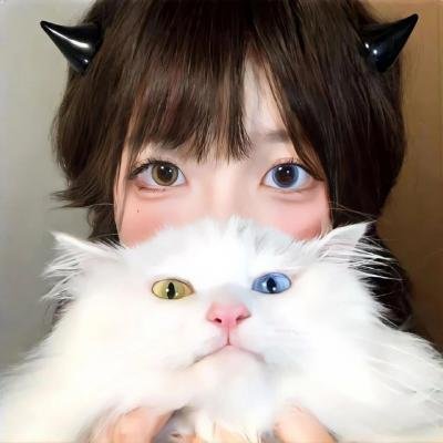 凤舞龙翔